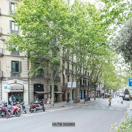 Alcam Pau Claris Apartment *